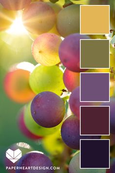 the color palette is made up of different shades of purple, yellow and green grapes