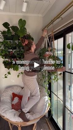 a woman is hanging plants on the wall