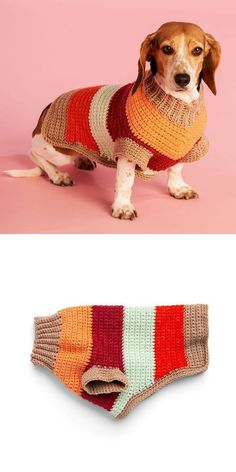 a dog wearing a sweater with the words do'go sweater on it