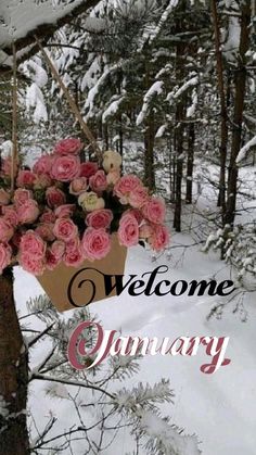 a welcome sign hanging from a tree in the snow with pink flowers on it's trunk