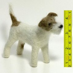 a small white and brown dog standing next to a ruler