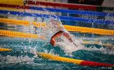 swimmers in the pool with splashing water