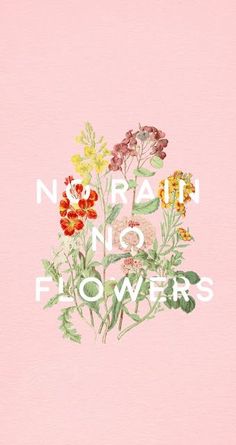 a pink background with flowers and the words no rain, no flowers