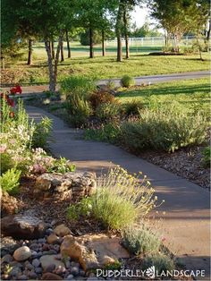 a path in the middle of a park with trees and flowers on both sides of it