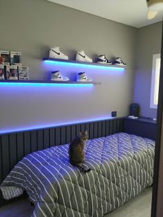 a cat sitting on the edge of a bed in a room with shoes hanging above it