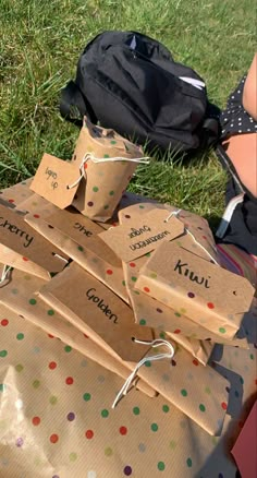 some brown paper bags sitting on top of a grass covered field with polka dot designs