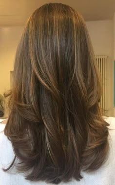 Medium Brown Hair Long Layers, Brown Shorter Hair, Cute Brown Haircuts, Long Seamless Layers, Natural Highlights In Brown Hair, Growing Out Medium Hair Styles, Medium Length Brown Hair With Layers Straight, Thick Brown Hair With Highlights, Low Lights Brown Hair Layers