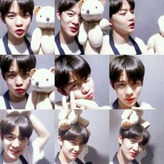 multiple images of a person holding a stuffed animal in front of their face with different expressions