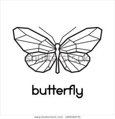 a butterfly with the word butterfly on it's back