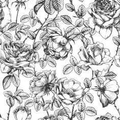 black and white drawing of roses on a white background