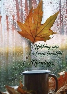 a coffee cup sitting on top of a window sill next to a maple leaf