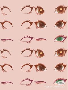 an image of different types of eyes