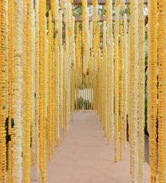 the walkway is lined with yellow and white flowers