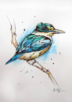 a drawing of a blue and yellow bird sitting on top of a tree branch in watercolor