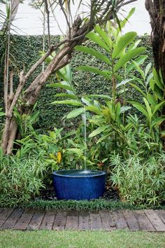 a blue planter sitting in the middle of a garden