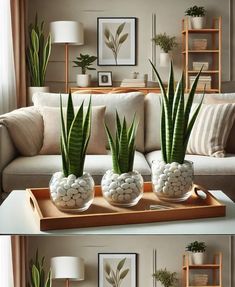 two pictures of a living room with couches, coffee table and potted plants