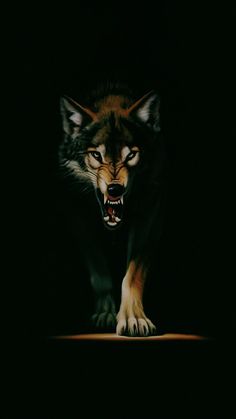 a wolf with its mouth open in the dark