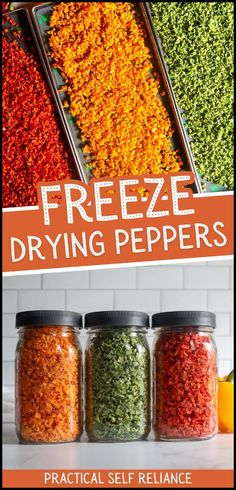 freeze drying peppers in jars with text overlay that says, freeze drying peppers practical self reliance