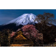 the mountain is covered in snow and has pink flowers on it's roof,