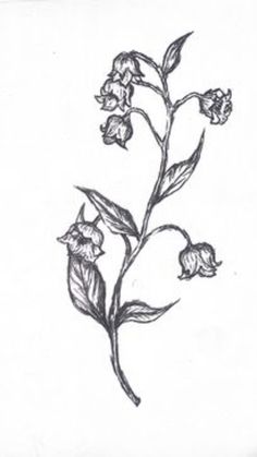 a black and white drawing of a flower