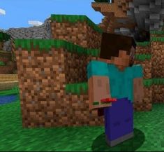 an image of a man in minecraft