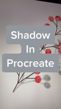 shadow in procreate with red berries on the branches and text overlaying it