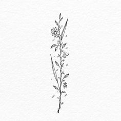 a black and white drawing of some flowers