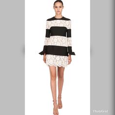 Gorgeous Authentic Valentino Crepe Long Sleeve Lace Striped Mini Dress. Long Sleeves With Flounce Cuffs And Fitted Silhouette. Hidden Back Zip With Scalloped Hem. Absolutely Stunning. Excellent Condition. Retail $3980 Plus Tax. Size 4 Small Size. Valentino Dresses, Italian Dress, Printed Short Dresses, Valentino Dress, Silk Shift Dress, Dress Long Sleeves, Flare Mini Dress, Striped Mini Dress, Silk Midi Dress