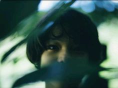 a blurry photo of a woman's face through the leaves of a tree