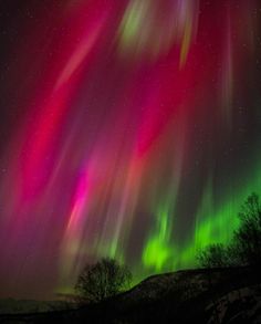 the aurora bore is glowing brightly in the night sky