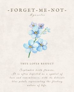 the front cover of forget me not by tru love and respect, with blue flowers