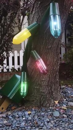 some lights are hanging on the side of a tree