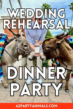 Beverage Beer burro party entertainment for kids adults teens families at Omni Scottsdale Spa and Resort in Paradise Valley Arizona for Cinco de Mayo Dress For Bridesmaid, Rehearsal Dinner Party, Dress For Bride