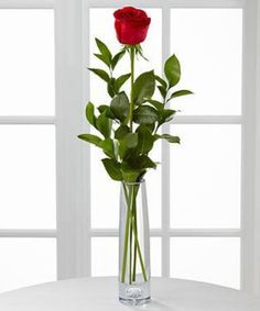 a red rose in a clear vase on a white table next to two large windows