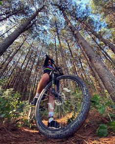 a person on a bike in the woods