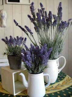 two white mugs with lavender flowers in them