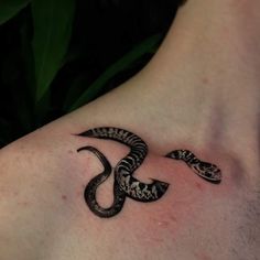 a black and white snake tattoo on the back of a man's chest,