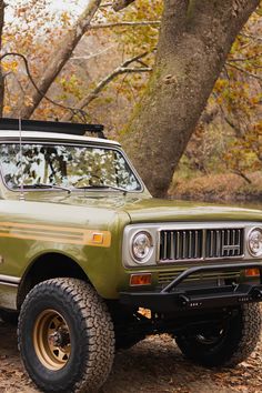 an old pick up truck parked next to a tree in the woods with leaves on the ground