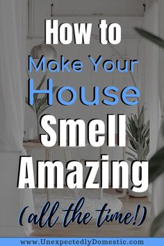 a living room with the words how to make your house smell amazing all the time