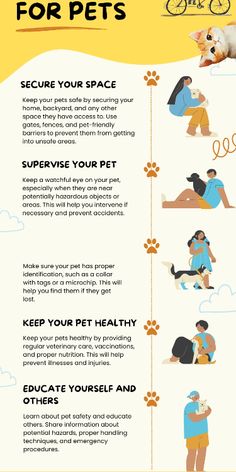 a poster with instructions on how to pet a dog