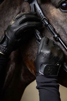 a close up of a person wearing gloves on a horse