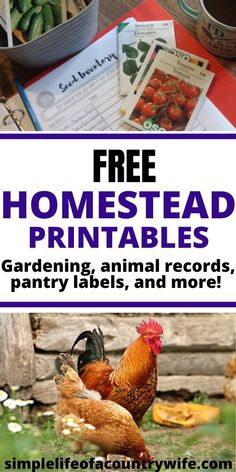 free printables to help kids learn how to use the farm animals and plants