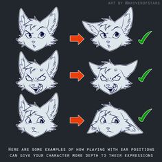 how to draw an angry cat's head with different angles and expressions on it