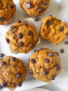 several muffins with chocolate chips on a white plate