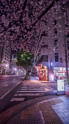 a city street at night with cherry blossoms on the trees and buildings in the background