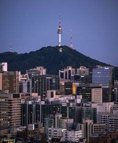 the city skyline is lit up at night, with skyscrapers in the foreground