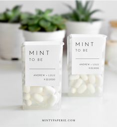 mini to be candy bar favors with succulent plants in the back and on top