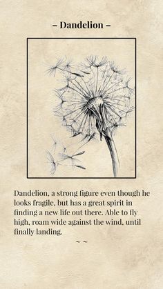 #flowers #Dandelions #dandelion #dandelionsflower #vintage Dandelion Tattoo Meaning, Dandelion Quotes, Easy Drawing Step By Step, Beautiful Pencil Drawings, Animal Tattoo Ideas, Easy Drawing Steps