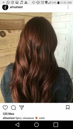 Cinnamon Hair Aesthetic, Chestnut Brown Hair With Red Undertone, Auburn Curly Hair Color, Russet Brown Hair, Chestnut Hair Color Dark, Auburn Aesthetic, Dark Brown Auburn Hair, Dark Copper Brown Hair