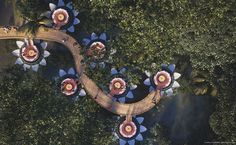 an aerial view of a wooden walkway in the middle of some trees with umbrellas on it